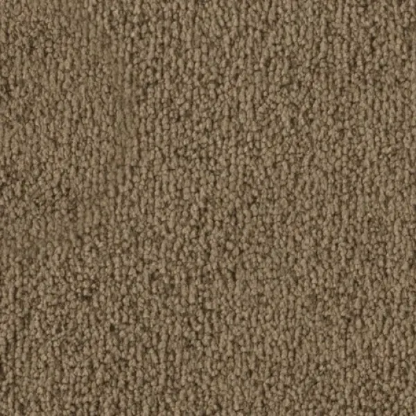 Vorwerk Safira Teppichboden Farbcode 2F96 – Draufsicht ohne Etikett